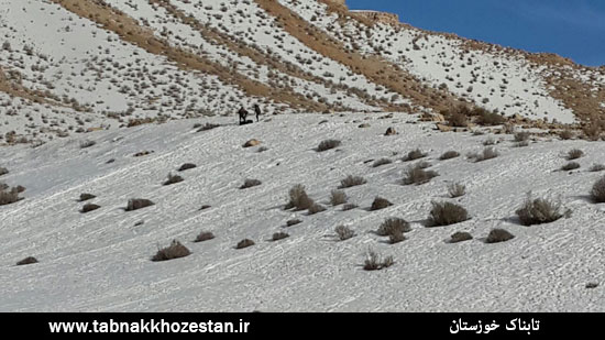 تصاویر/ برف بازی خوزستانی ها در منطقه مونگار