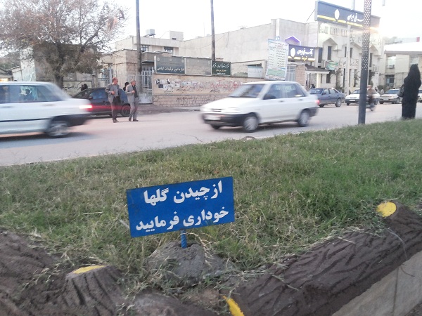 رویش گل های نامرئی در شهر دهدشت/ گل هایی که کاشته نشده چیده شدند+ تصاویر