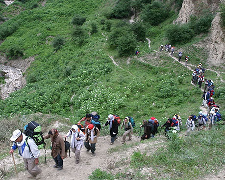 صعود کوهنوردان استان به قله دال