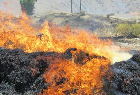 یک و نیم هکتار از مزارع لنده در آتش سوخت