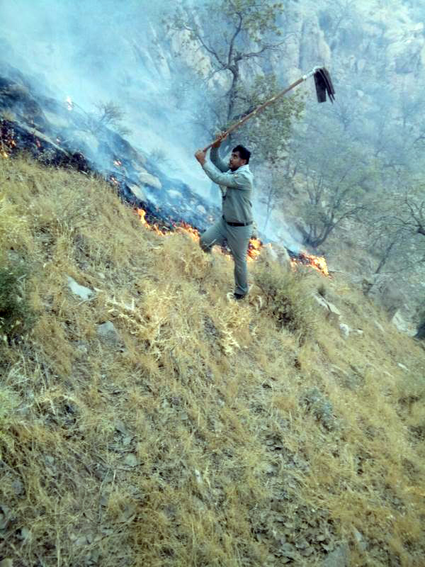 تلاش 7 ساعته محیط بانان آتش کوه خامین را خاموش کرد + تصاویر