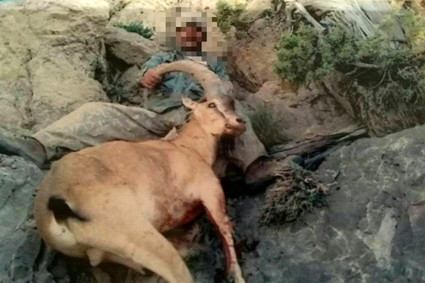 دوربین کشی به موقع محیط بانان کهگیلویه ، شکارچیان را به دام انداخت + تصویر