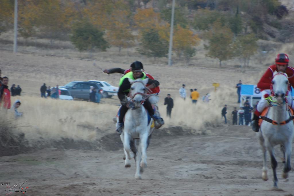 گزارش تصویری مسابقات اسب سواری در یاسوج (بخش اول)