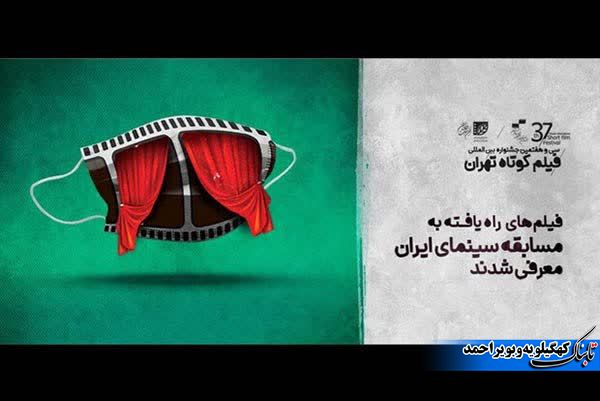 راهیابی مستند حوزه هنری کهگیلویه وبویراحمد به جشنواره بین المللی فیلم تهران