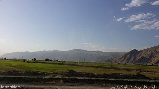شالیزارهای بزرگ برنج در استانی که آب خوردن ندارد!!!/عکس شالیزارهای بزرگ برنج در استانی که آب خوردن ندارد!!!/عکس