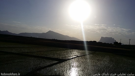 شالیزارهای بزرگ برنج در استانی که آب خوردن ندارد!!!/عکس شالیزارهای بزرگ برنج در استانی که آب خوردن ندارد!!!/عکس
