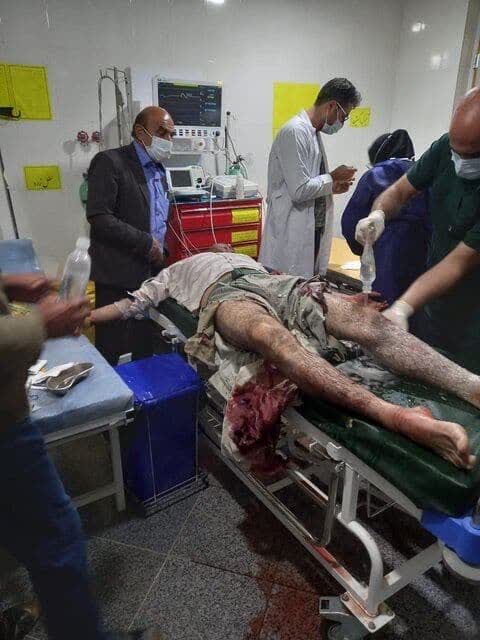 در ماجرای حمله پلنگ محیط زیست چوپان را مقصر اعلام کرد!