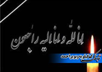 شهردار شهر لنده عزادار شد شهردار شهر لنده عزادار شد