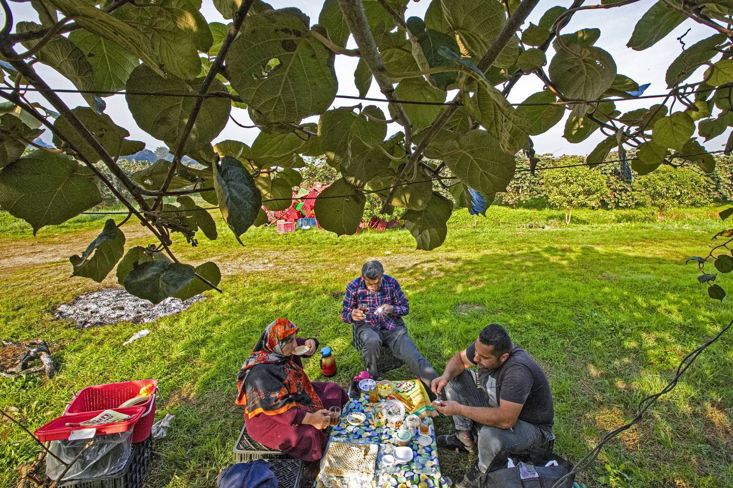 به دوش کشیدن بار زندگی با دستان پر از میوه/ روایت معیشت و شرافت زنانه به دوش کشیدن بار زندگی با دستان پر از میوه/ روایت معیشت و شرافت زنانه