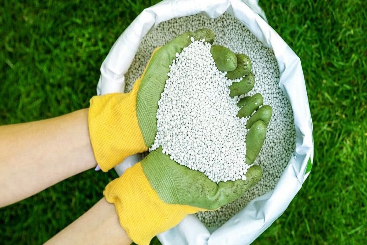 ۸۵۰ تن کود شیمیایی در سرعین توزیع شد