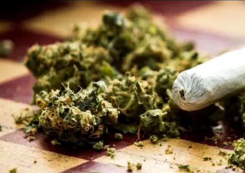 انهدام شبکه توزیع ماریجوانا در امینآباد ری انهدام شبکه توزیع ماریجوانا در امینآباد ری