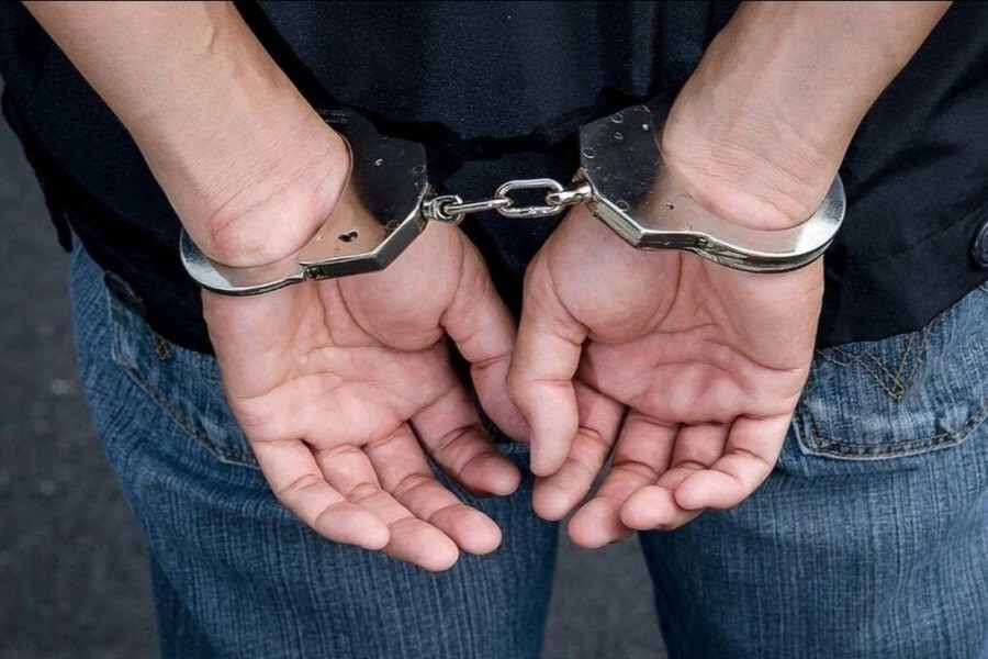 دستگیری صیاد غیرمجاز در آوج و رهاسازی ۸ سهره طلایی در طبیعت دستگیری صیاد غیرمجاز در آوج و رهاسازی ۸ سهره طلایی در طبیعت